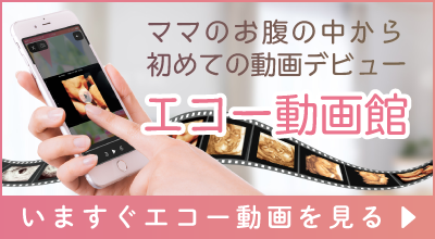 エコー動画館へのリンクバナー